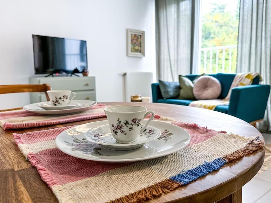 Lumineux & Confortable Apartment Toulouse